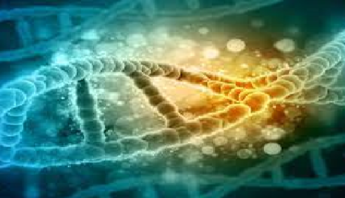 24 biology